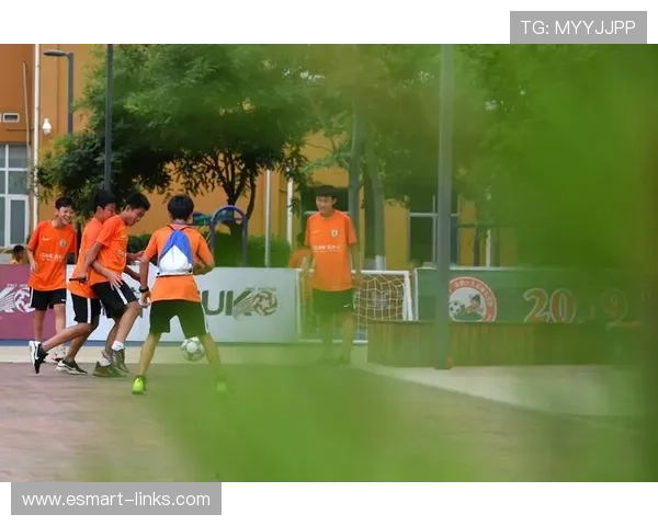 足球明星热巴观赛记：从绿茵场到荧屏的激情碰撞与梦想追逐