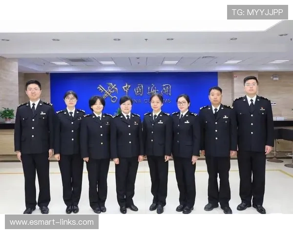 杭州排球队的成长之路精英赛背后的奋斗与荣耀